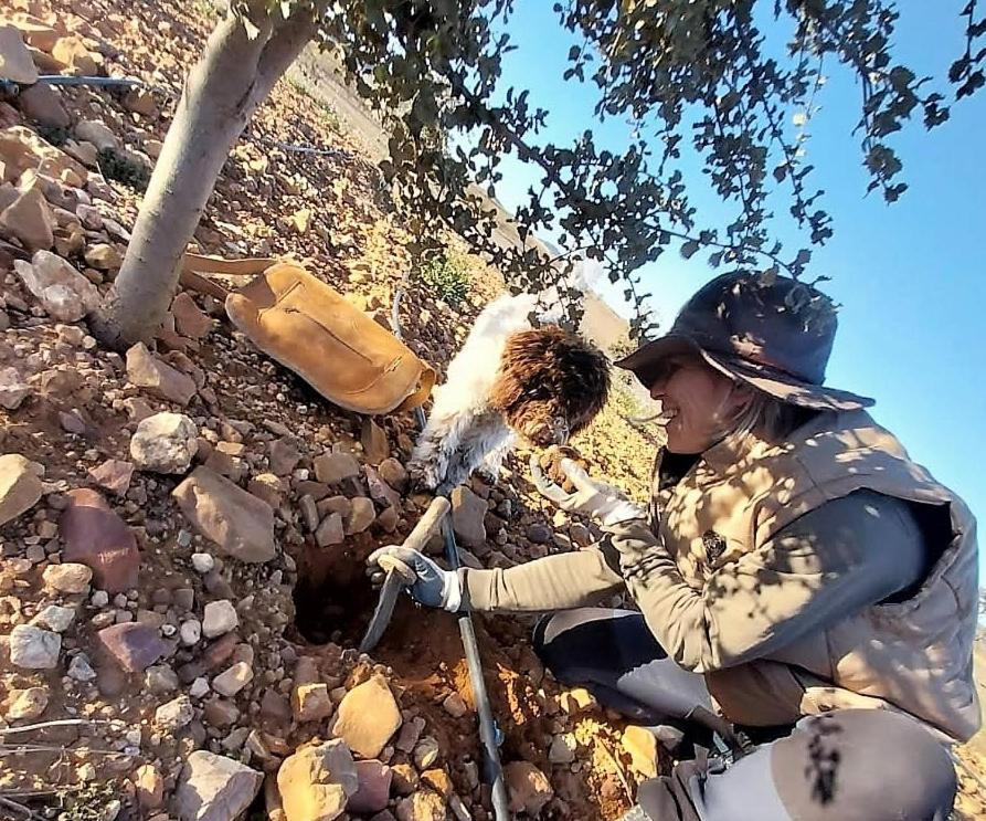 شقة Aromas Del Jiloca, Tierra De Trufas كالاموتشه المظهر الخارجي الصورة