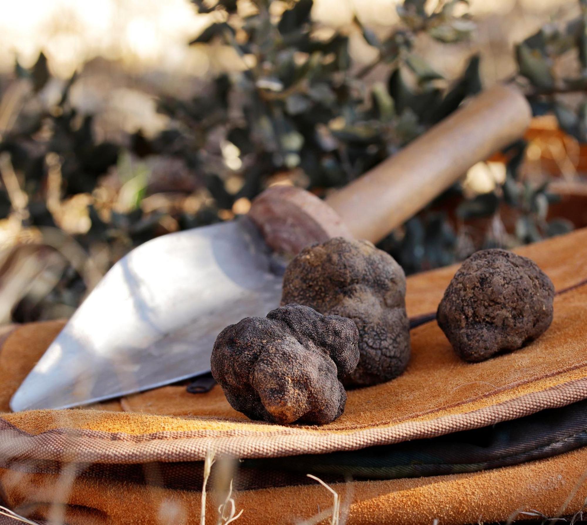 شقة Aromas Del Jiloca, Tierra De Trufas كالاموتشه المظهر الخارجي الصورة
